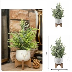 New Frosted Christmas Tree wood stand